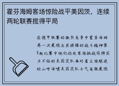 霍芬海姆客场惊险战平美因茨，连续两轮联赛揽得平局